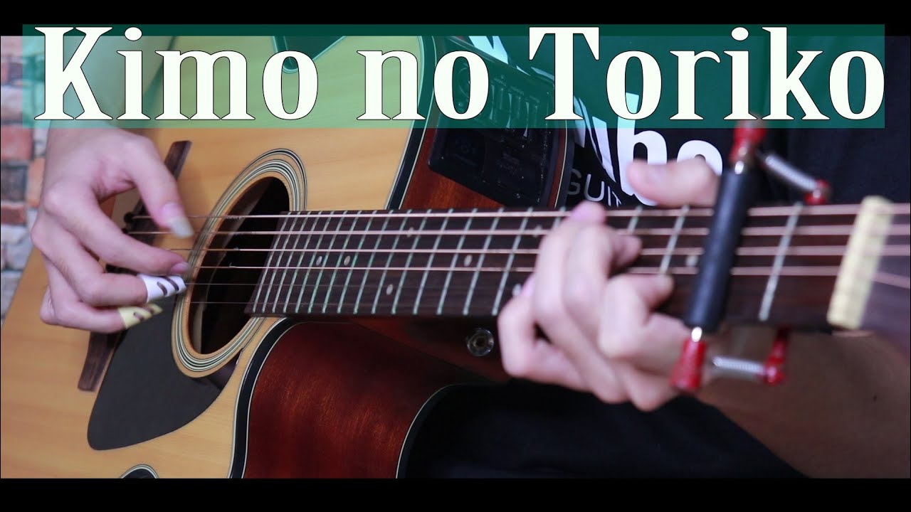 Kimi no Toriko Fingerstyle Guitar Cover ( the cuttest tiktok song
