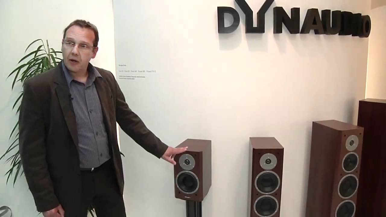 dynaudio 160