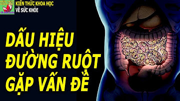 3 Dấu hiệu cảnh báo đường ruột đang có vấn đề