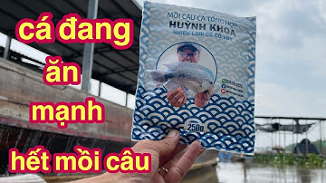 Thương Vlog Câu Cá Bè Thử Mồi Câu Cám Mới Huỳnh Khoa @Xuanthuong91