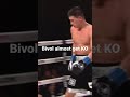 Can Canelo KO Bivol?