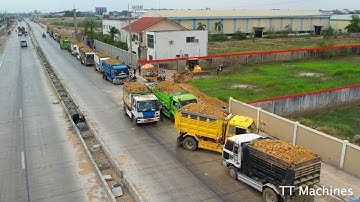Nicely Many Team Dump Trucks Waiting On High Way Road Filling Land Inbox Fence Heavy DR51PX Dozer