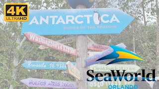 Antarctica Empire of the Penguin SeaWorld Orlando  2023 4K Video