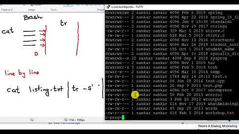 bash pipe commands