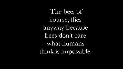 The Bee Movie Script one sentence a day | Part #3