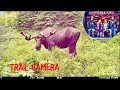 Game Gamera Adventure: Grizzly Bears and Big Moose