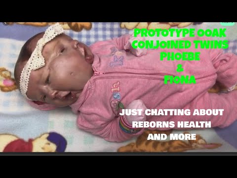 katie's precious angels reborn nursery