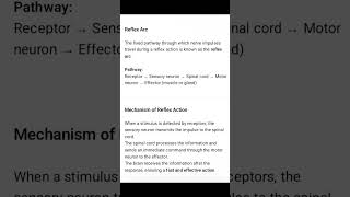 #ReflexAction #Class10Biology #BiologyClass10 #ScienceClass10 #CBSEBiology #BoardExam2026 #Biology