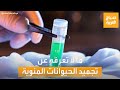 صباح العربية معلومات قد لا تعرفها عن تجميد الحيوانات المنوية هل هي آمنة
