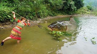 Survival Skills: Smart Girl Solo Big Fish With Trident Use Skill, Alone Survival Fish Catching Skill