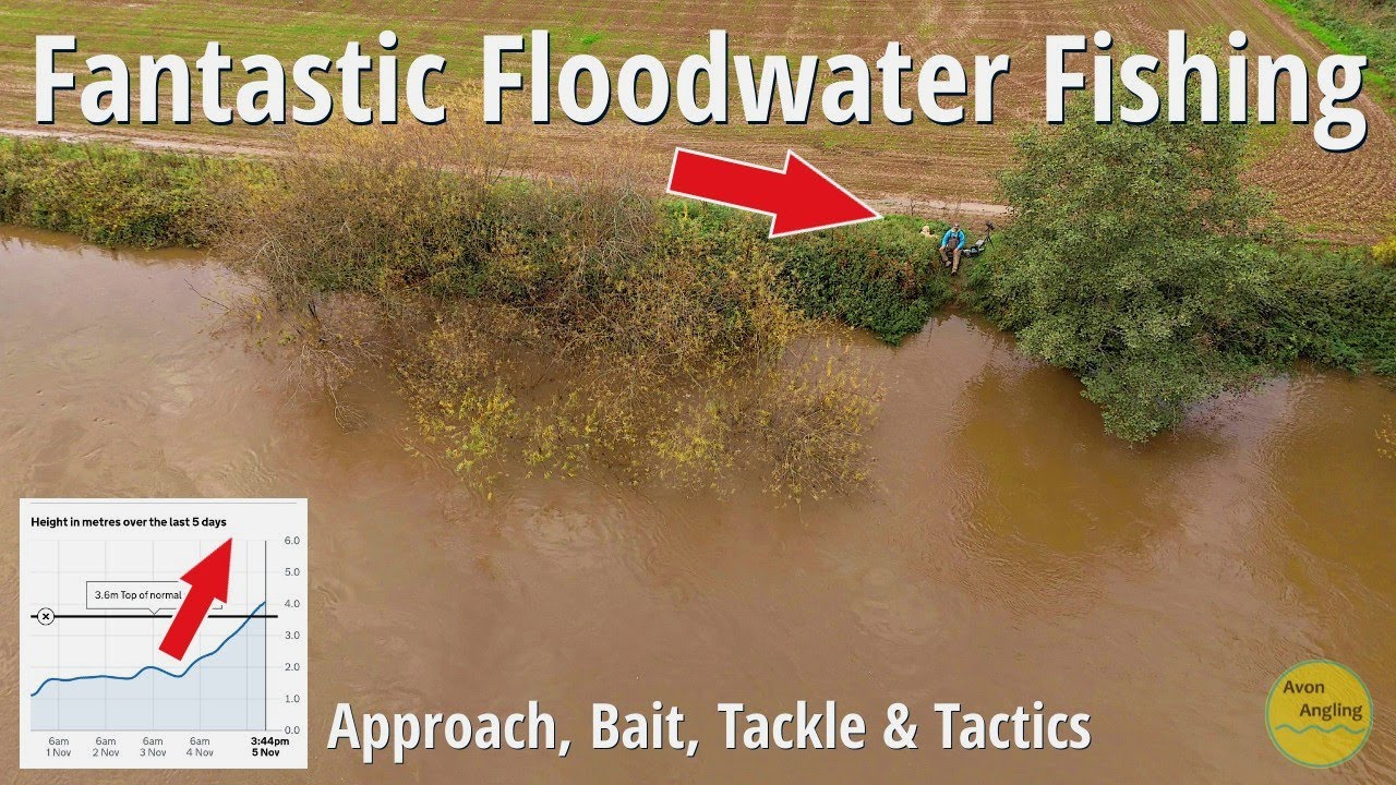 FANTASTIC FLOODWATER FISHING - Approach, Bait, Tackle & Tactics - 5/11/25 (Video 610)