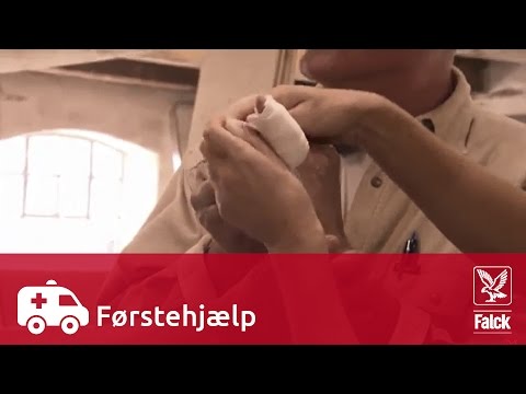 Video: Sådan Lager Du Et Førstehjælpssæt Til Pleje Af Skadede Kæledyrsfugle
