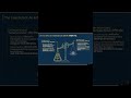 lecture method