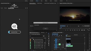 Universal Production Music Adobe Premiere Pro Extension (with cue sheet helper)