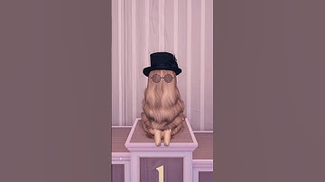 DRESS TO IMPRESS HOW TO WIN EVERY ROUND ✨ #roblox #dresstoimpress #dti