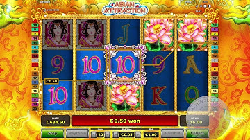 Fluffy wins casino Fluffy wins casino