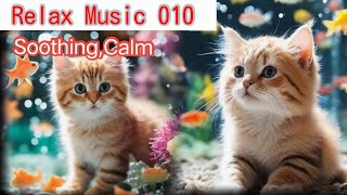 Music,meditation,calm,peaceful,soothing,massage,cute cat,aquarium