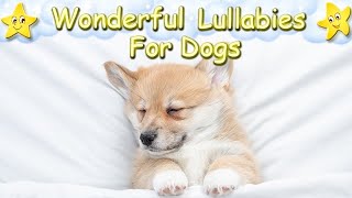 Relaxing Sleep Music For Dogs And Puppies ♫ Calm Your Dog Immediately