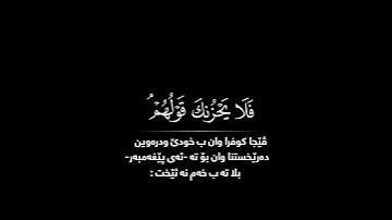 فلا يحزنك قولهم شاشة سوداء | كرومات قرآن كريم | محمد هشام حالات واتس