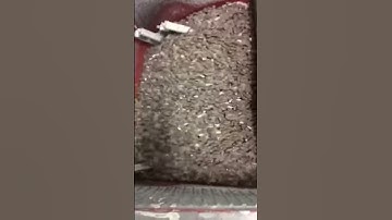 Knucks Riser getting tumbled