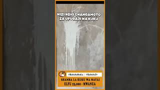 ZIFAHAMU CHANGAMOTO ZA UFUGAJI WA KUKU WA MAYAI #trending #Ufuguaji #kuku #mwanza #poultry #tukutuku