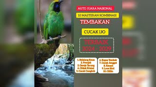 Download Lagu KOMBINASI MASTERAN PALING LENGKAP DAN PALING JERNIH AUDIONYA | TERBAIK 2024 - 2029 MP3
