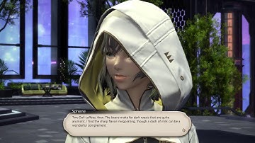 FFXIV Patch 7.2 MSQ 2 Memories of a Bygone Age