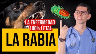 LA RABIA| Enfermedad 100% letal | DrPoloGuerrero