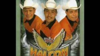 Video thumbnail of "Halcón huasteco - Belleza de cantina (Sólo audio)"