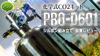 ミドボンじゃなくシルボン 化学式co2キットpro D601設置レビュー アクアリウム はるデザイン Youtube