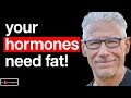 How the carnivore diet affects your hormones  dr robert kiltz md