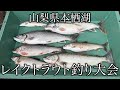 【レイクトラウト】本栖湖で繁殖してしまった大型外来魚を駆除せよ!