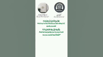 ما تيسر من سورة النازعات #القرآن #سورة_النازعات #المصحف #قران_كريم #اكسبلور