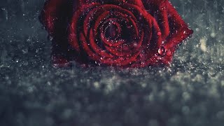Anbum Neethane Uyirum Neethane || Album Song WhatsApp Status || Tamil Album Girls Love Failure Song