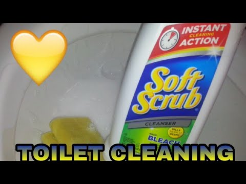 PINE SOL & SOFT SCRUB