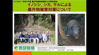 令和3年度農作物鳥獣被害防止対策研修 イノシシ シカ サルによる農作物被害対策について Youtube