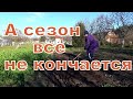 Занимаюсь садом// Крашу крыльцо.