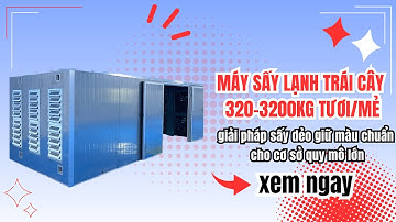 MÁY SẤY LẠNH TRÁI CÂY 320–3200KG TƯƠI/MẺ giải pháp sấy dẻo giữ màu chuẩn cho cơ sở quy mô lớn