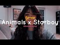 Animals x starboy lyrics slowed  reverb  tiktok remix 