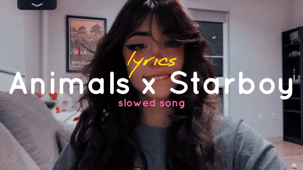 Animals x Starboy lyrics slowed  reverb  tiktok remix 