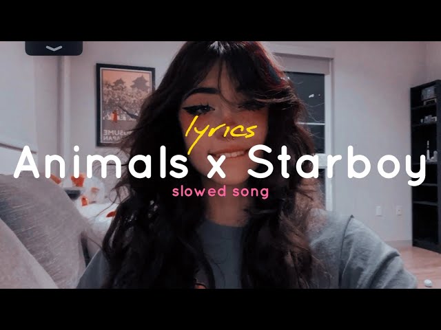 Animals x Starboy (lyrics) (slowed + reverb) ( tiktok remix ) class=