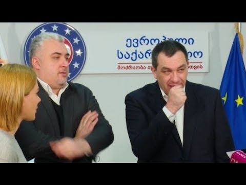 ხელისუფლების დამოკიდებულება  შეურაცხმყოფელია - ევროპული საქართველო