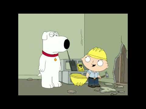 Family Guy Best Of Stewie Season 6