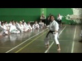 Junro sandan kato ryu kata