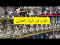 اخر صيحات البراد المغربي 2021 بالرباط السويقة مع الاثمنة