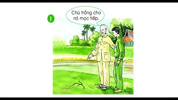 Tiếng Việt lớp 1 || Tuần 17 || Kể chuyện: KHÚC RỄ ĐA