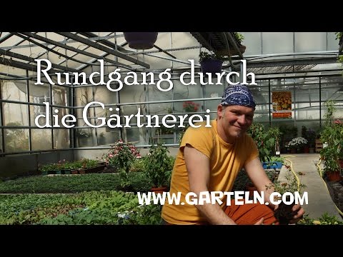 Video: Wo findet man Gärtnereien?