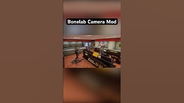 This mod make Bonelab Realistic