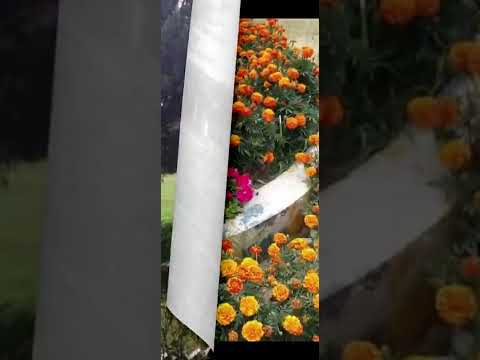 GGDC College Marghuz Swabi Kpk College Admissions Open Documentary