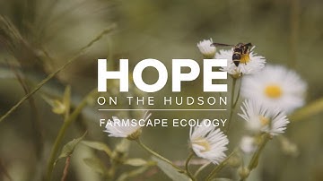 Hope on The Hudson - Farmscape Ecology Documentaire | De natuur redden op de boerderij | | Ecofli...